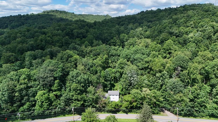 Image for Nearly 18 Acres with a 4 Bedroom Home on Bunner Ridge Road