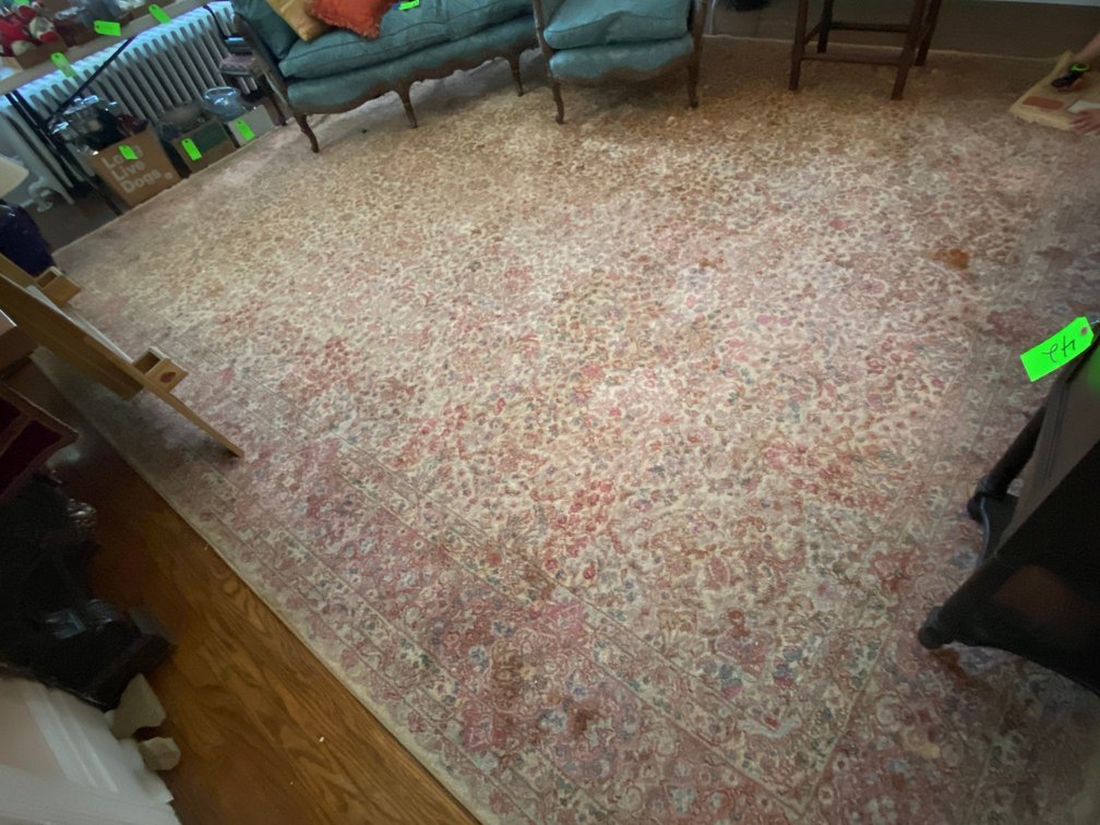 Large Living Area Rug