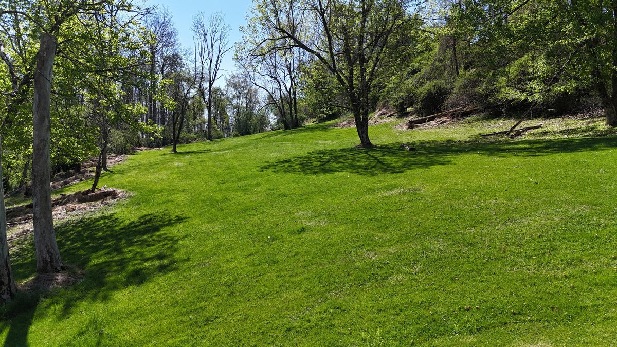 Image for SOLD $69,300 - 6.6 Acres on Goose Run Rd. in Fairmont