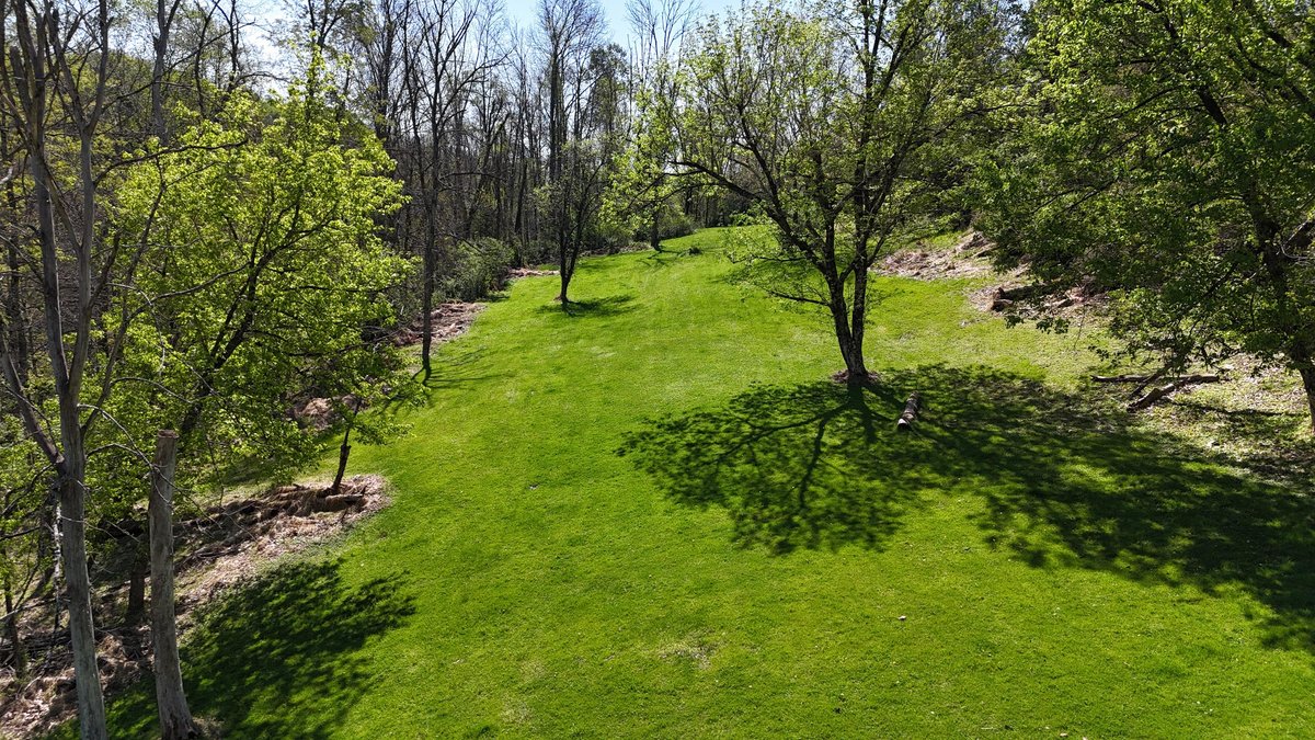 Image for SOLD $69,300 - 6.6 Acres on Goose Run Rd. in Fairmont