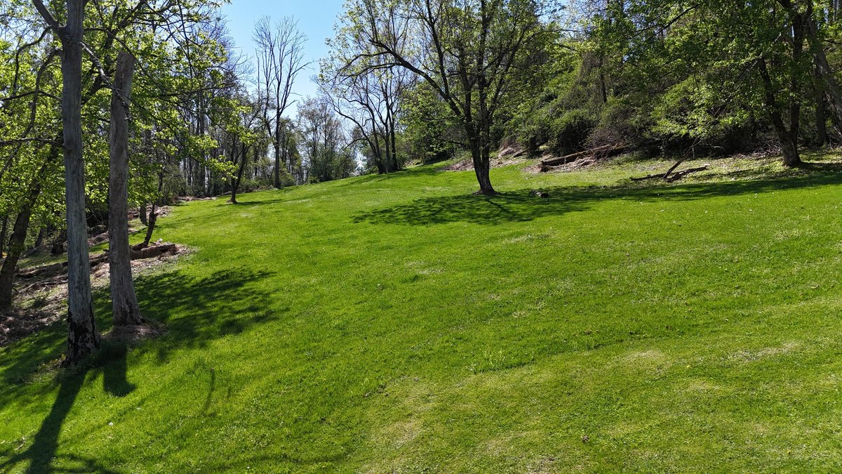 Image for SOLD $69,300 - 6.6 Acres on Goose Run Rd. in Fairmont