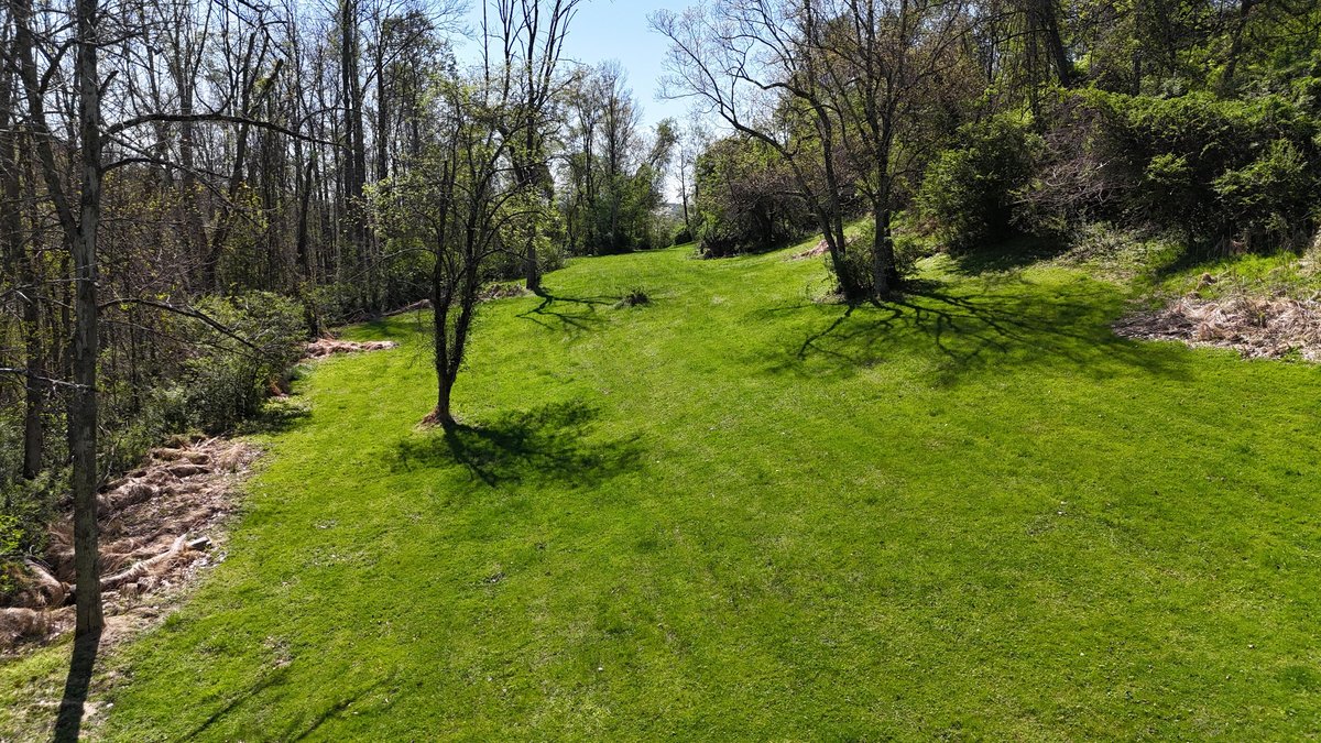 Image for SOLD $69,300 - 6.6 Acres on Goose Run Rd. in Fairmont