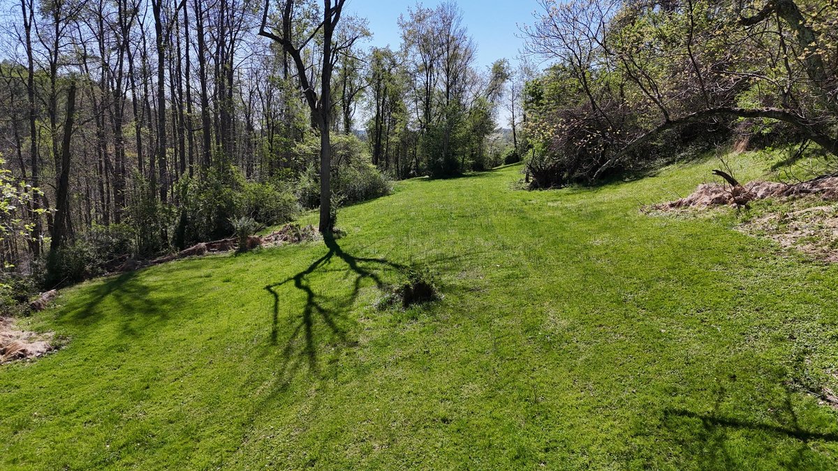 Image for SOLD $69,300 - 6.6 Acres on Goose Run Rd. in Fairmont