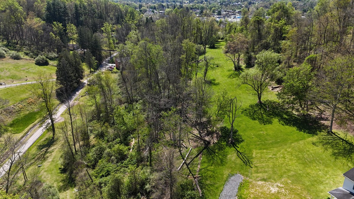 Image for SOLD $69,300 - 6.6 Acres on Goose Run Rd. in Fairmont