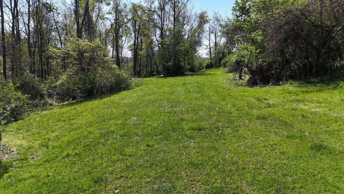 Image for SOLD $69,300 - 6.6 Acres on Goose Run Rd. in Fairmont