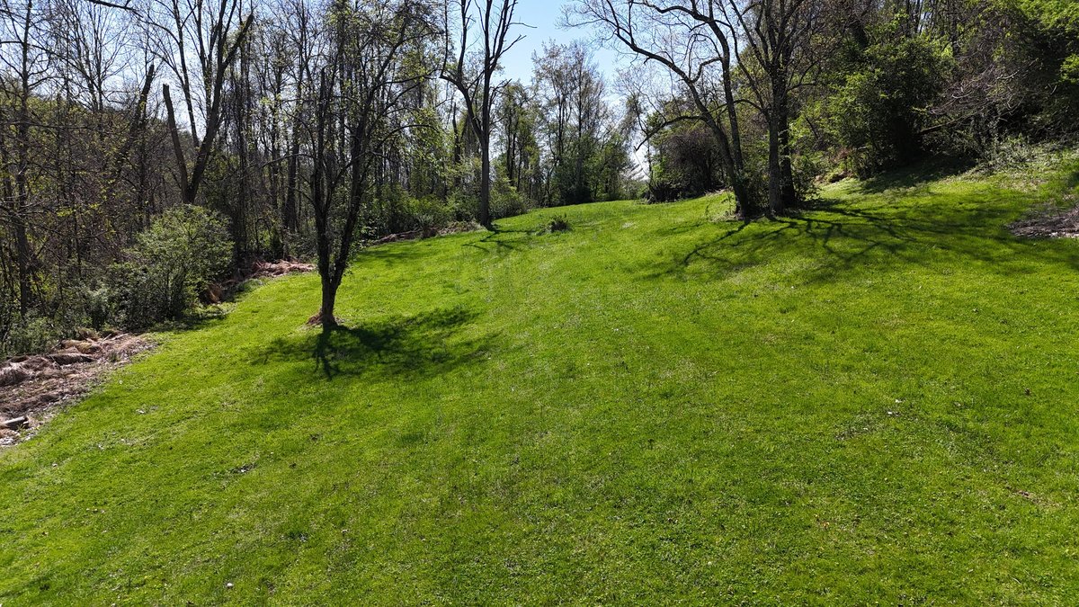 Image for SOLD $69,300 - 6.6 Acres on Goose Run Rd. in Fairmont