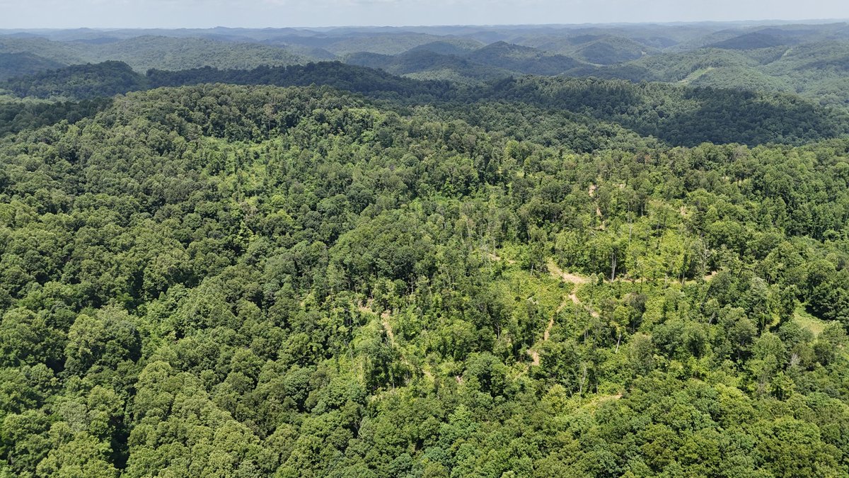 Image for SOLD $175,000 - Over 95 Acres with a Homesite in Harrison County