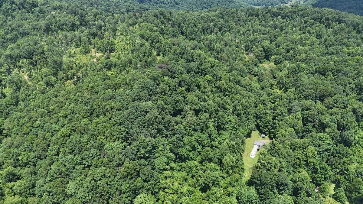 Image for SOLD $175,000 - Over 95 Acres with a Homesite in Harrison County