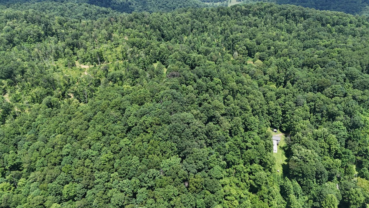 Image for SOLD $175,000 - Over 95 Acres with a Homesite in Harrison County