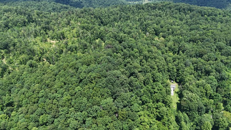Image for Over 95 Acres with a Homesite in Harrison County
