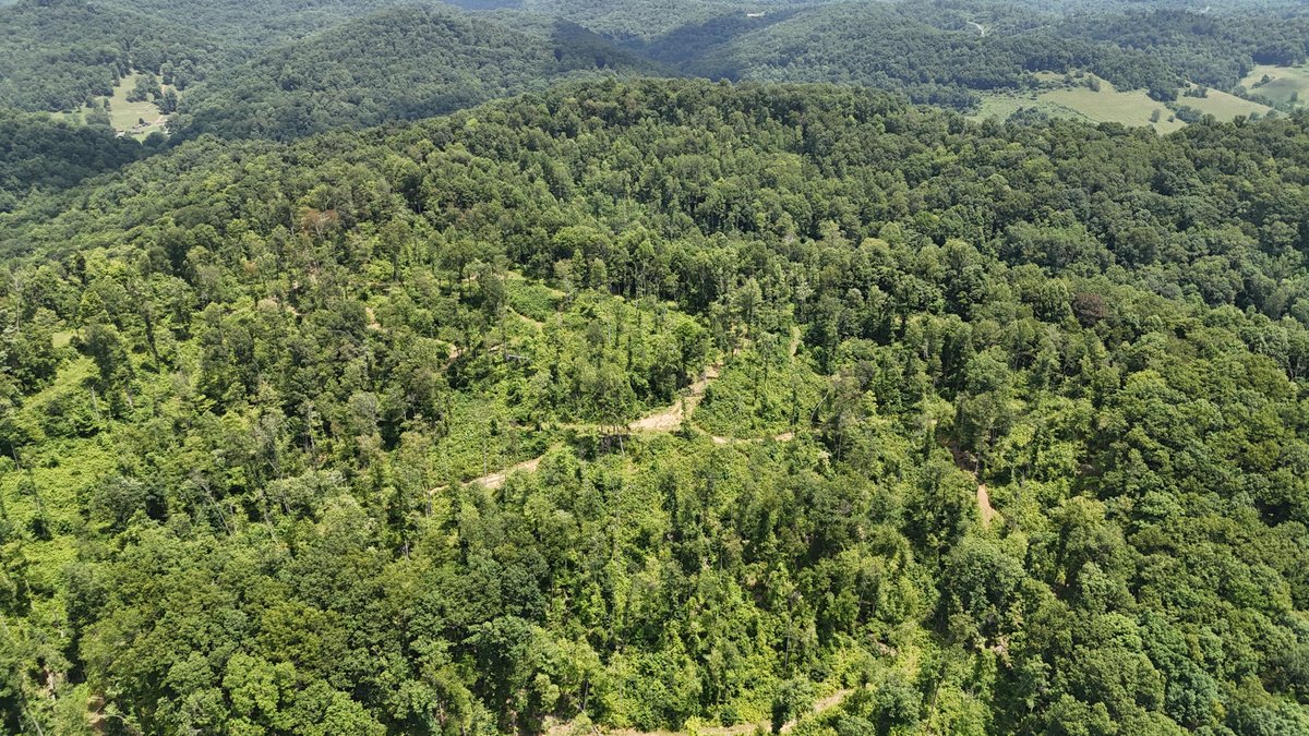 Image for SOLD $175,000 - Over 95 Acres with a Homesite in Harrison County