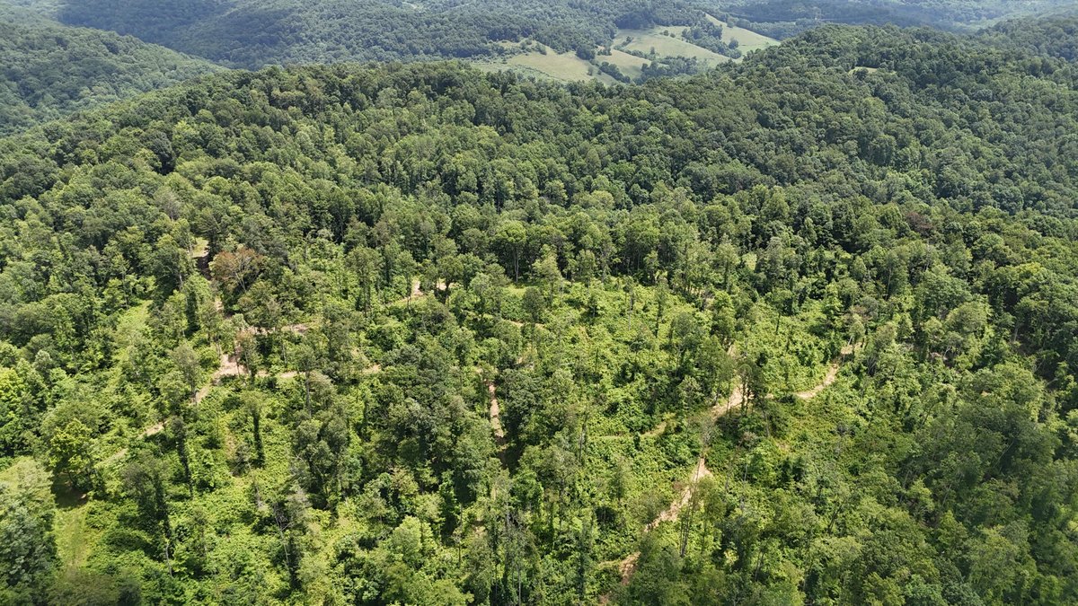 Image for SOLD $175,000 - Over 95 Acres with a Homesite in Harrison County