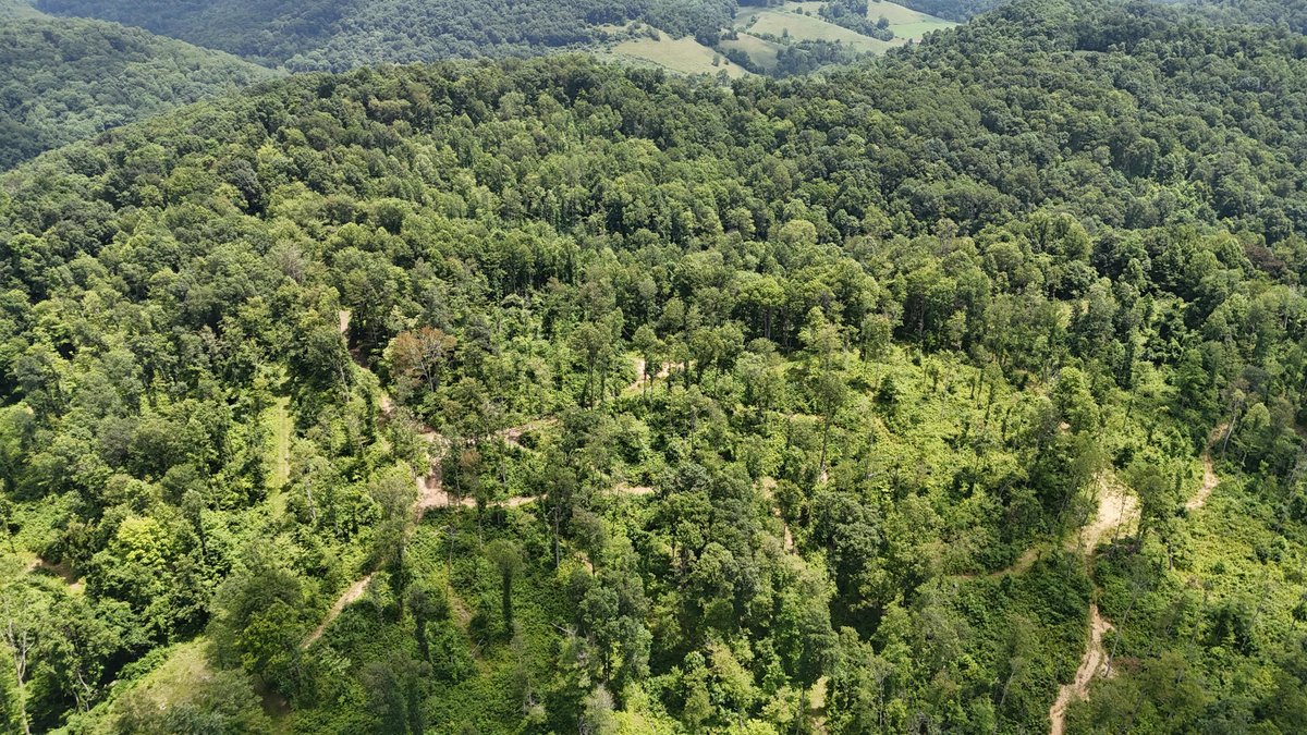 Image for SOLD $175,000 - Over 95 Acres with a Homesite in Harrison County