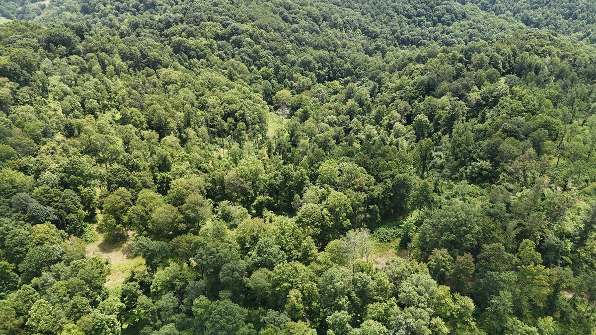 Image for SOLD $175,000 - Over 95 Acres with a Homesite in Harrison County