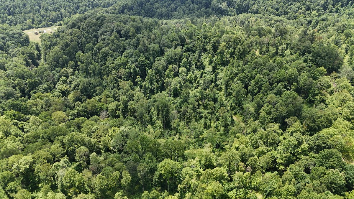 Image for SOLD $175,000 - Over 95 Acres with a Homesite in Harrison County