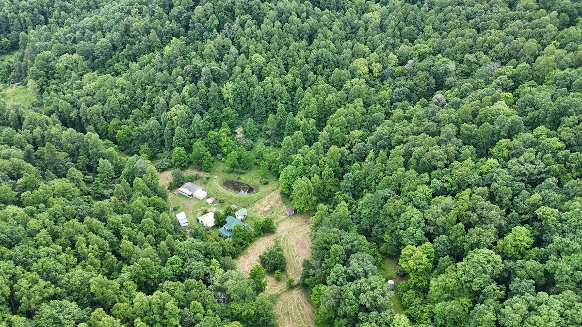 Image for Two Homes on Over 51 Acres in Gilmer County