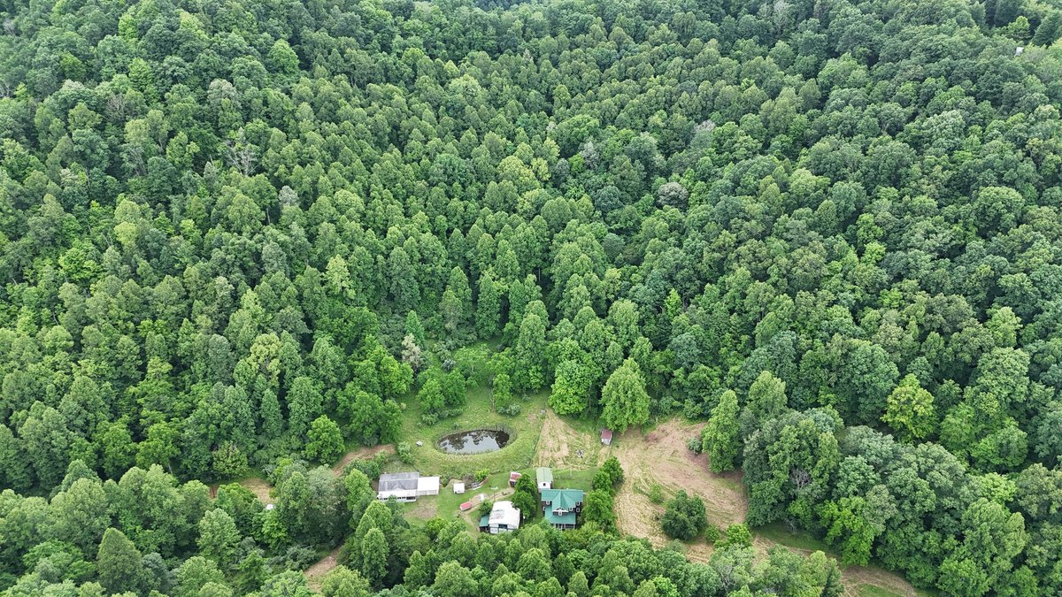 Image for Two Homes on Over 51 Acres in Gilmer County