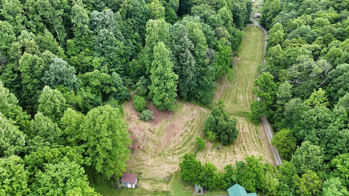 Image for Two Homes on Over 51 Acres in Gilmer County