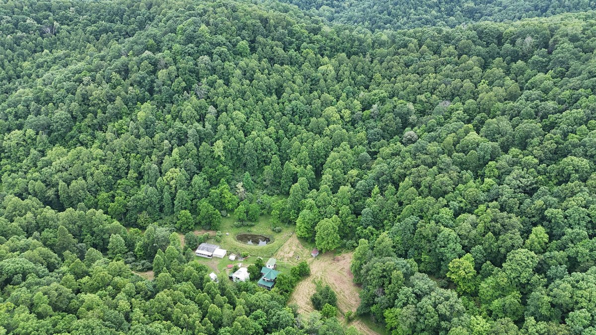 Image for Two Homes on Over 51 Acres in Gilmer County
