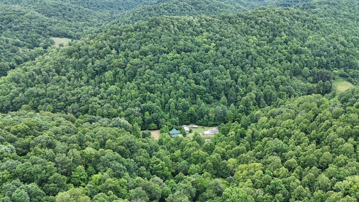 Image for Two Homes on Over 51 Acres in Gilmer County
