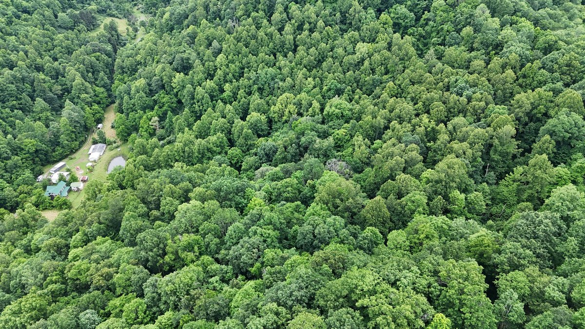 Image for Two Homes on Over 51 Acres in Gilmer County