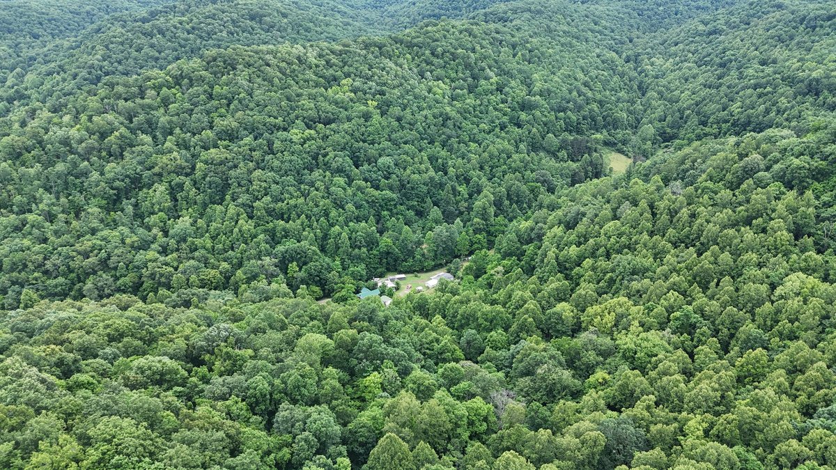 Image for Two Homes on Over 51 Acres in Gilmer County