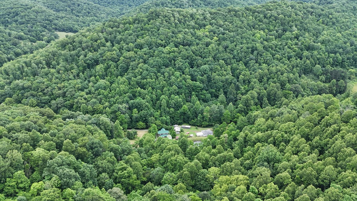 Image for Two Homes on Over 51 Acres in Gilmer County