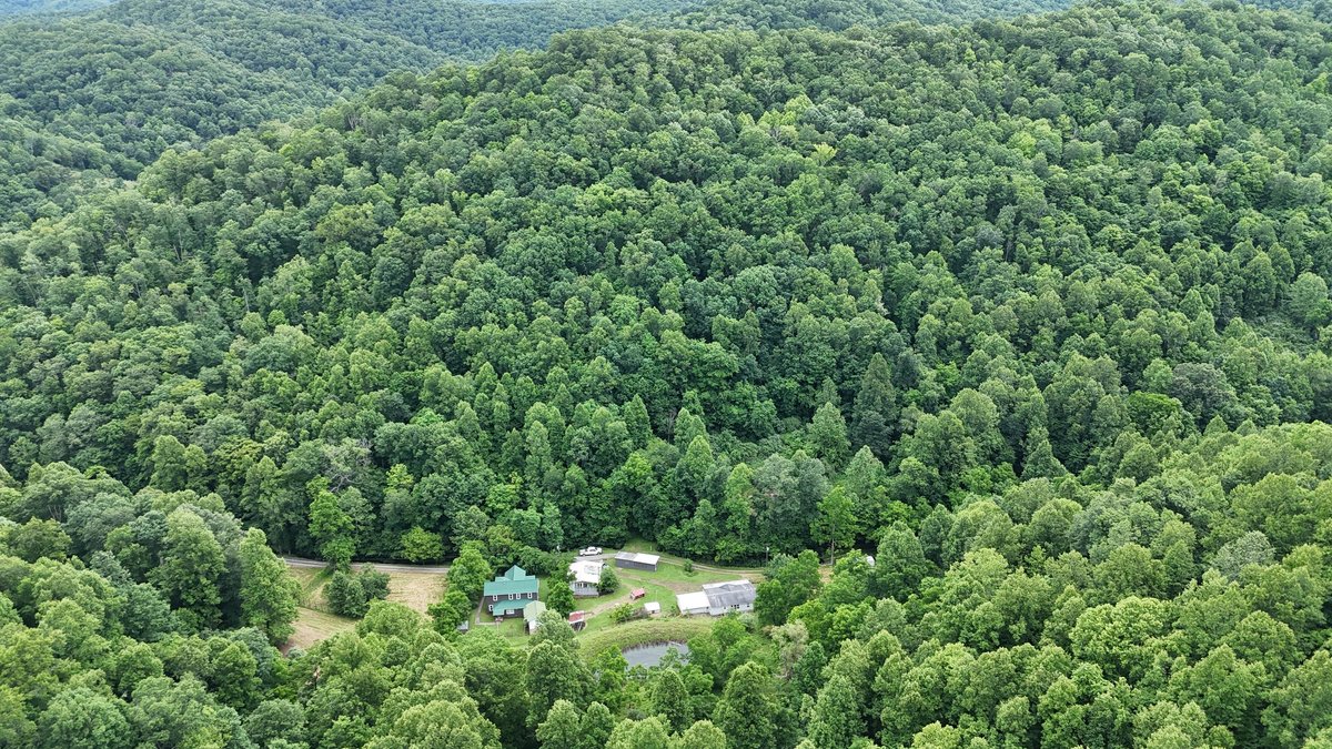 Image for Two Homes on Over 51 Acres in Gilmer County