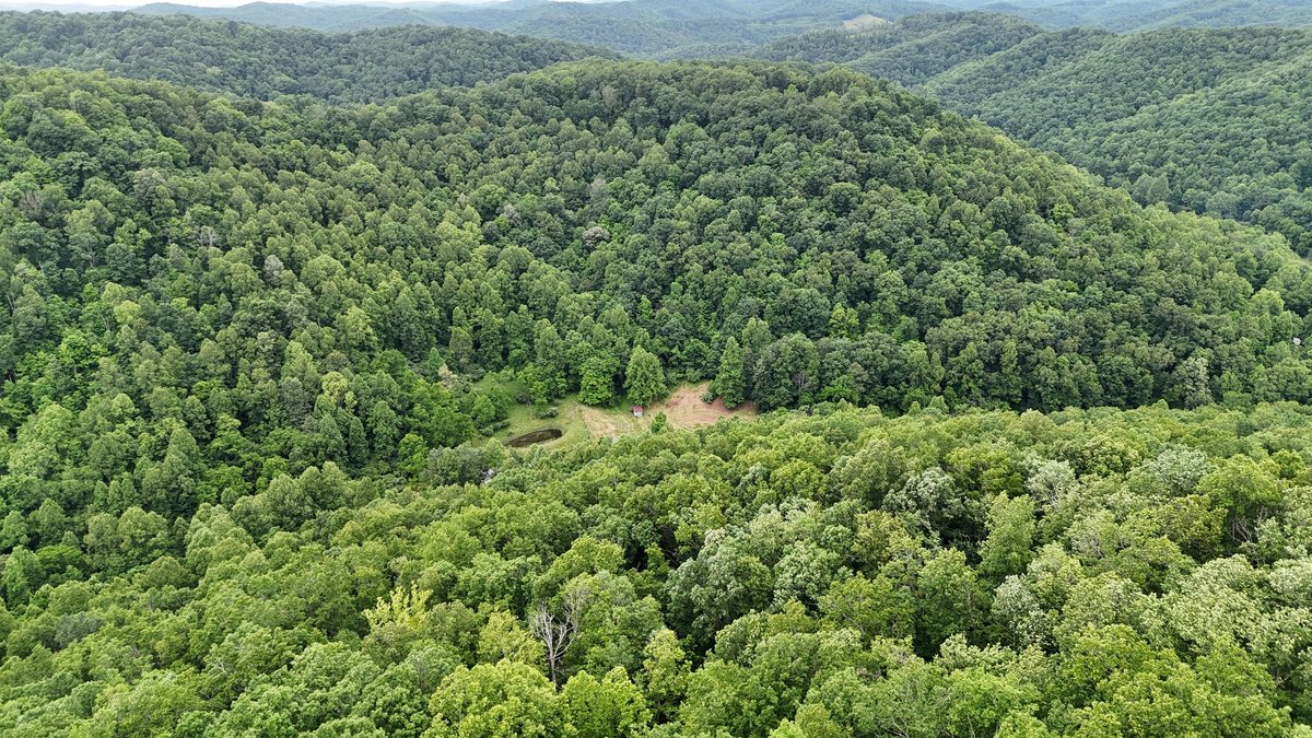 Image for Two Homes on Over 51 Acres in Gilmer County