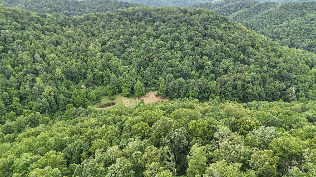Image for Two Homes on Over 51 Acres in Gilmer County