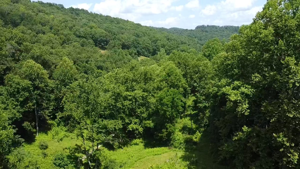 Image for SOLD $280,500 - 120 Acre Farm in Putnam County