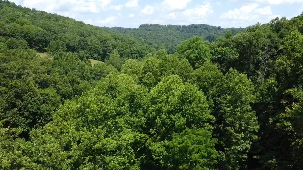 Image for SOLD $280,500 - 120 Acre Farm in Putnam County
