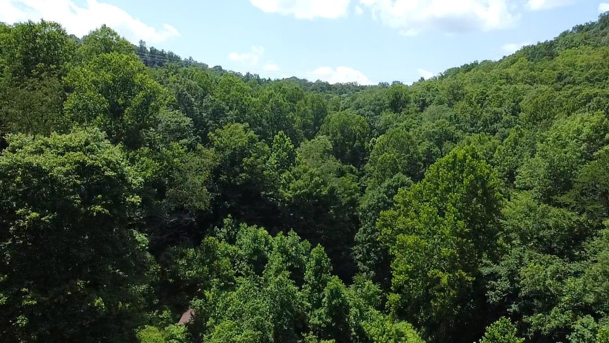 Image for SOLD $280,500 - 120 Acre Farm in Putnam County