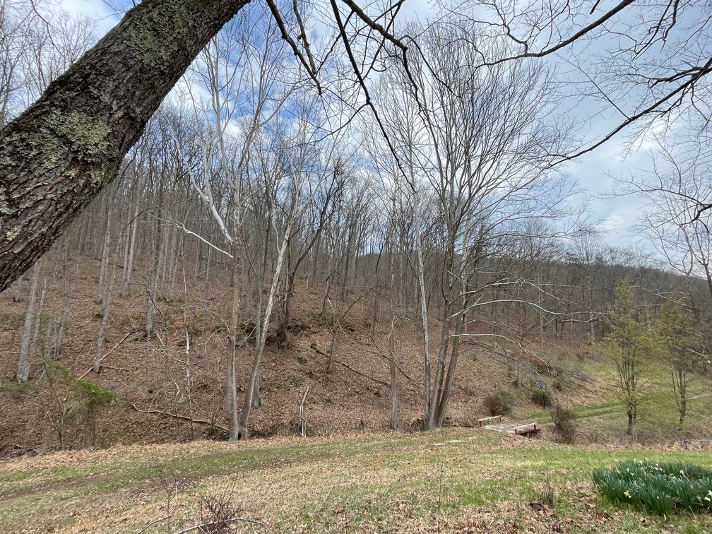 Image for SOLD $280,500 - 120 Acre Farm in Putnam County