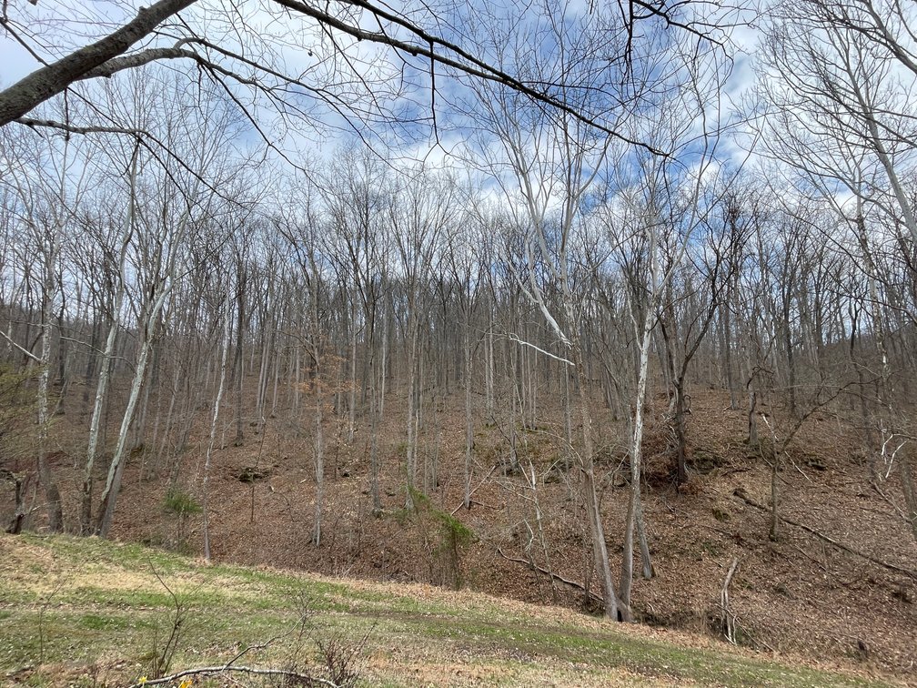 Image for SOLD $280,500 - 120 Acre Farm in Putnam County