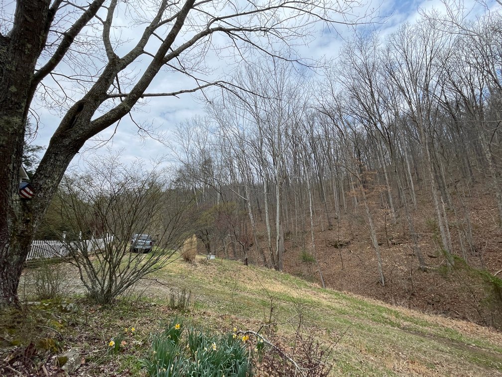 Image for SOLD $280,500 - 120 Acre Farm in Putnam County