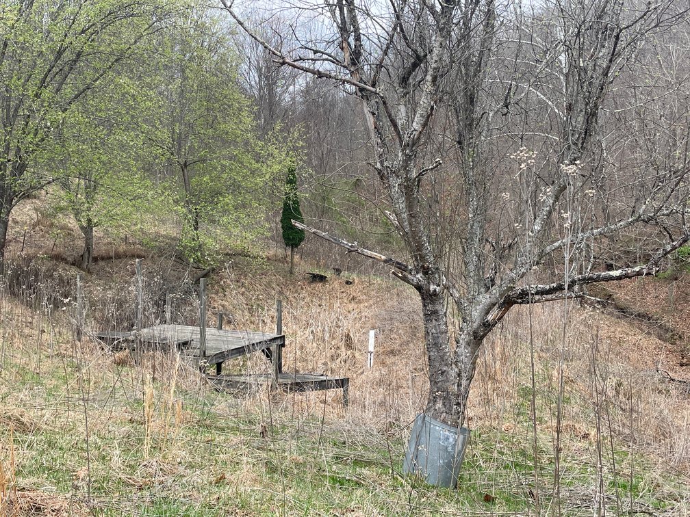 Image for SOLD $280,500 - 120 Acre Farm in Putnam County