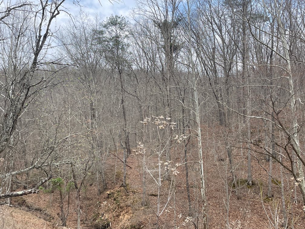 Image for SOLD $280,500 - 120 Acre Farm in Putnam County