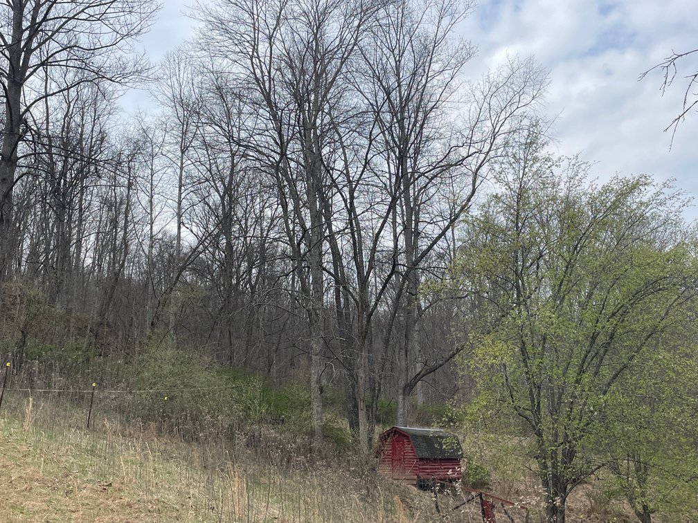 Image for SOLD $280,500 - 120 Acre Farm in Putnam County