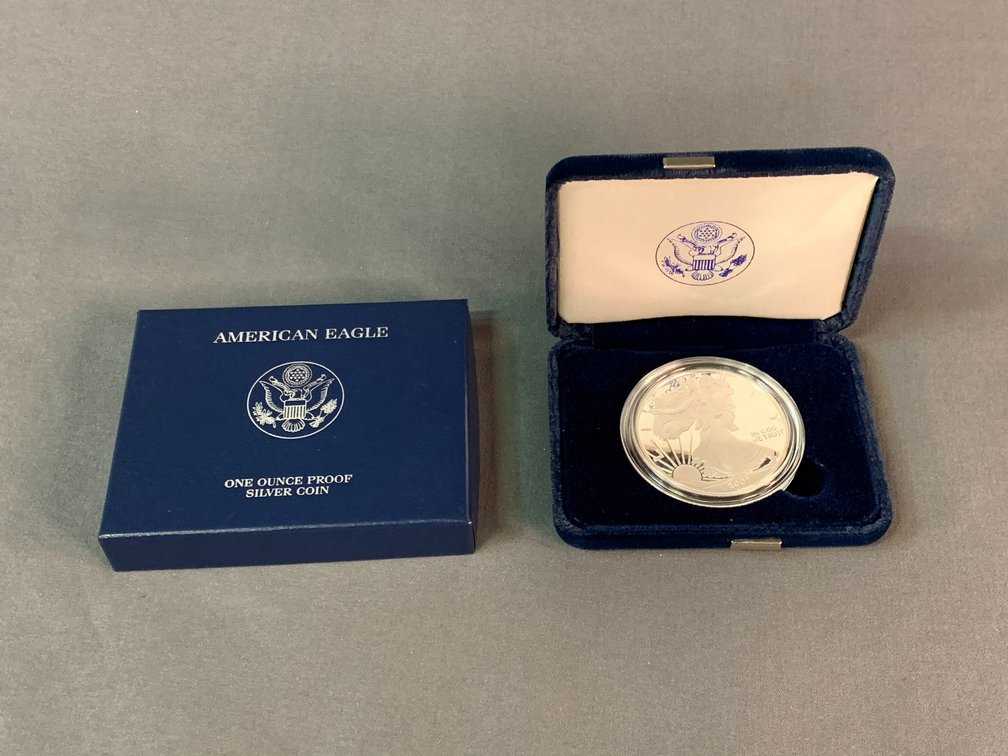 2007 American Silver Eagle