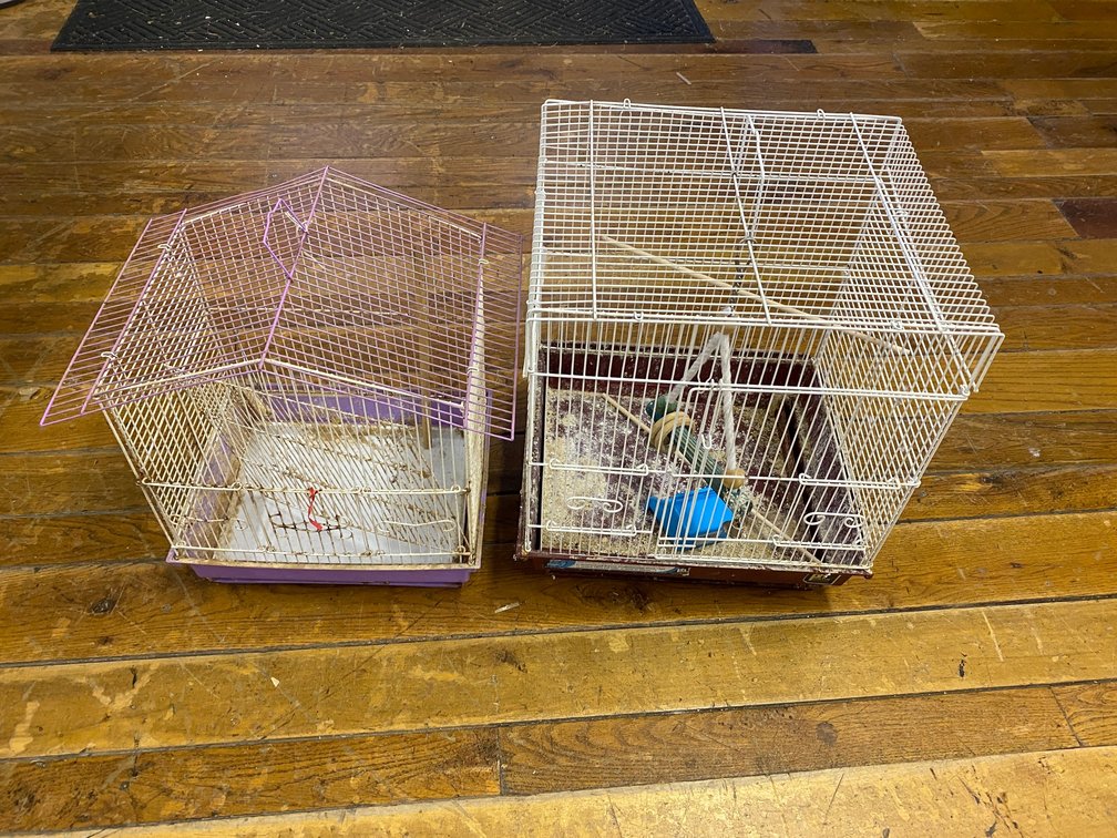 2 Birdcages
