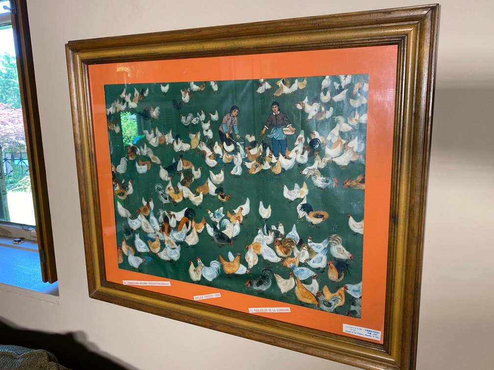 Framed Print Chickens Being Fed