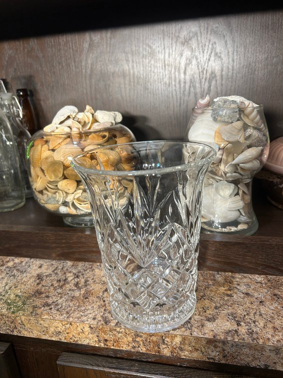 Seashells, Glass Vases