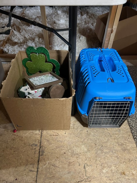 Dog carrier, Small birdhouses, Etc.