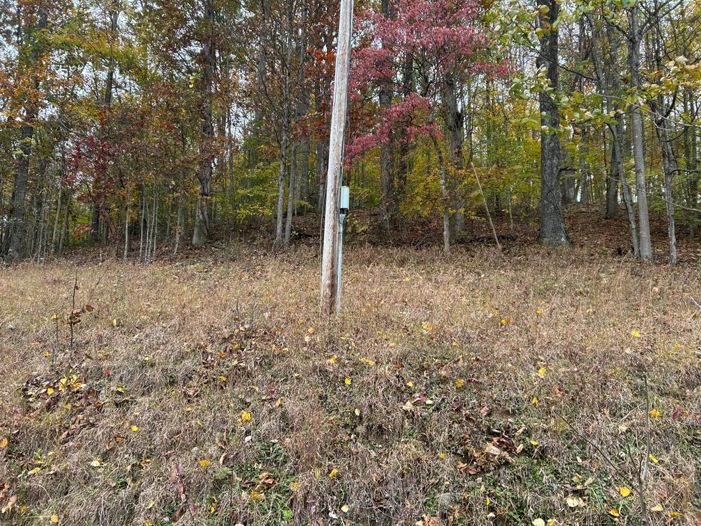 Image for 3 Bedroom Home on Over a Half Acre in Taylor County