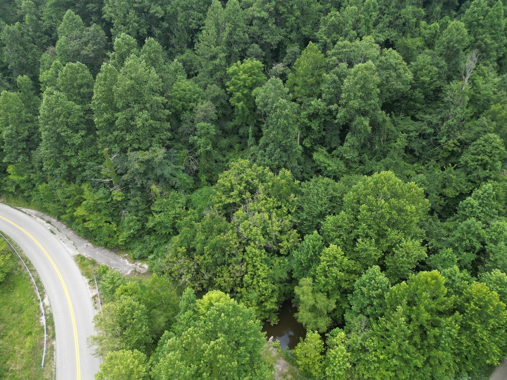 Image for 95 Surveyed Acres in Boone County