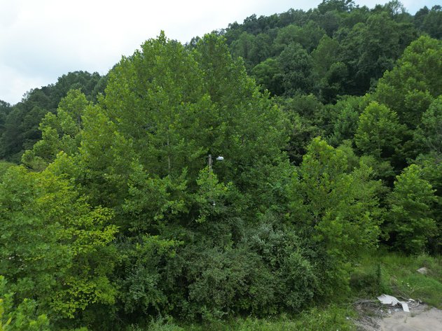 Image for 95 Surveyed Acres in Boone County