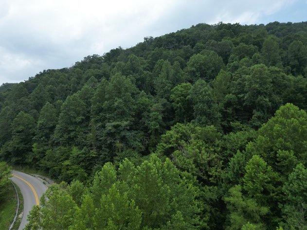 Image for 95 Surveyed Acres in Boone County