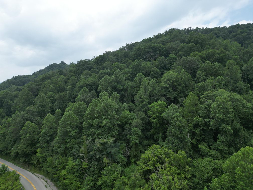 Image for 95 Surveyed Acres in Boone County