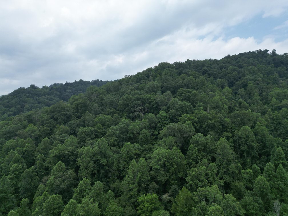 Image for 95 Surveyed Acres in Boone County